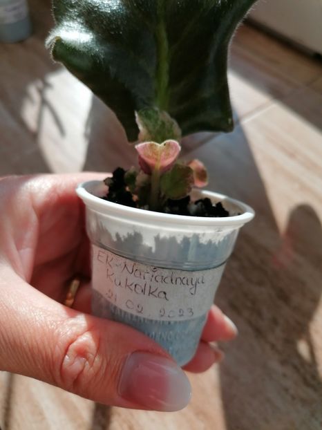 26.05.2023 - EK- Nariadnaya Kukolka