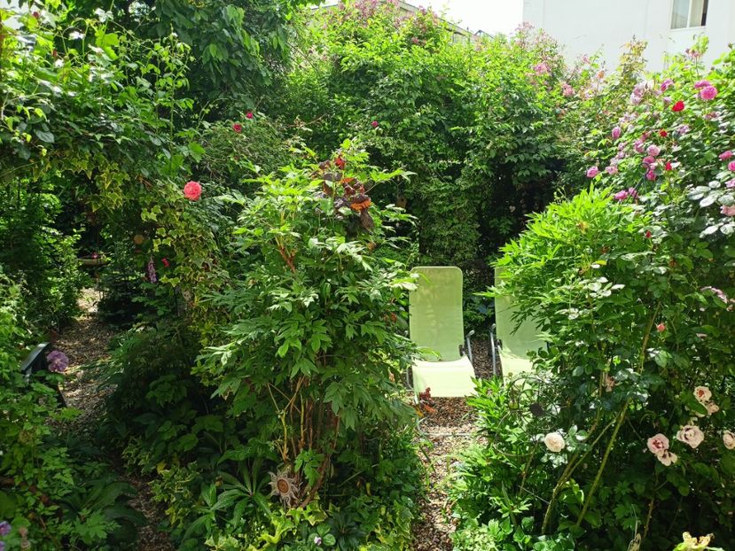  - Grădina 2023 continuare 2