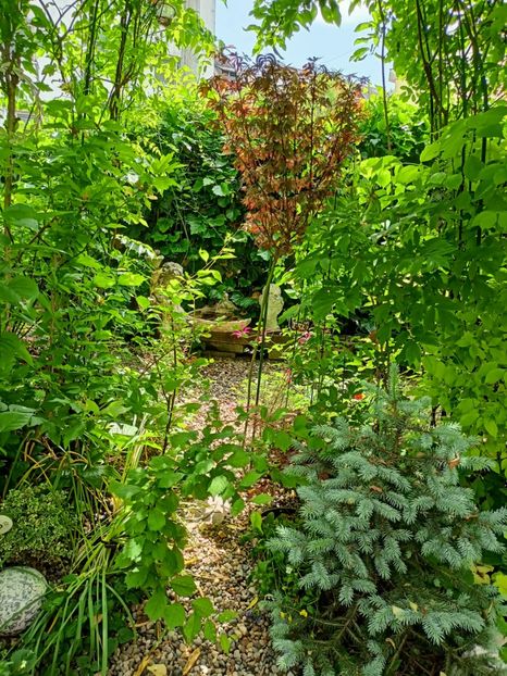  - Grădina 2023 continuare 2