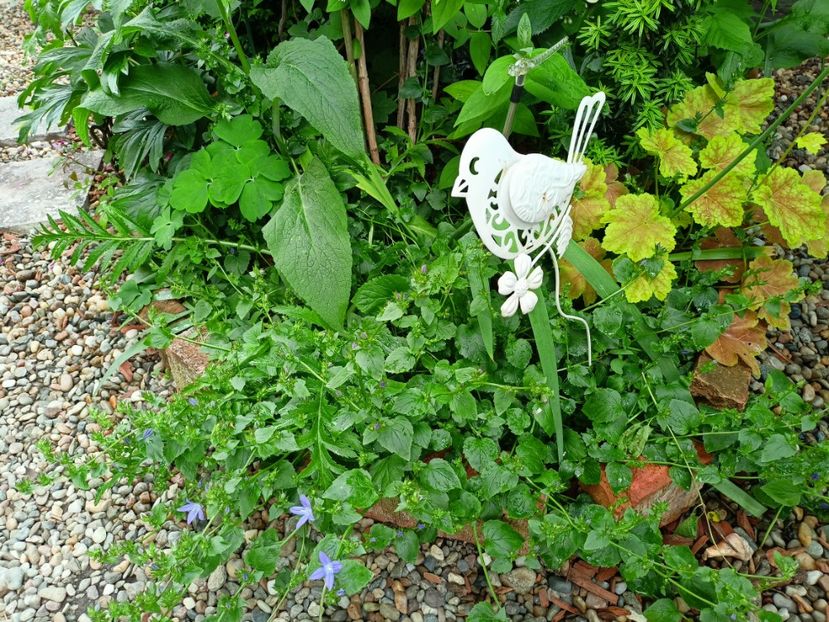  - Grădina 2023 continuare 2