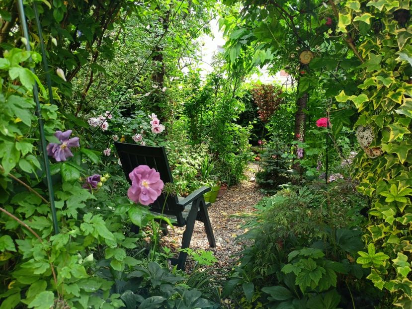  - Grădina 2023 continuare 2