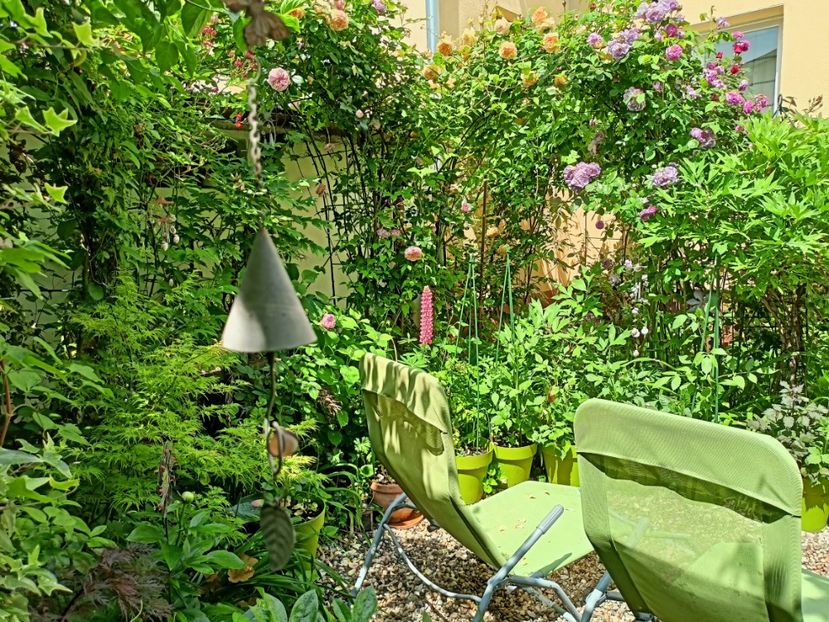  - Grădina 2023 continuare 2