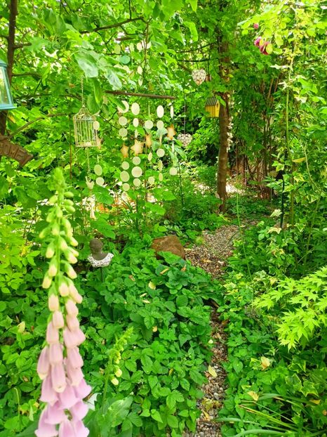  - Grădina 2023 continuare 2