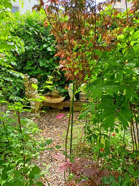  - Grădina 2023 continuare 2