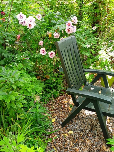  - Grădina 2023 continuare 2