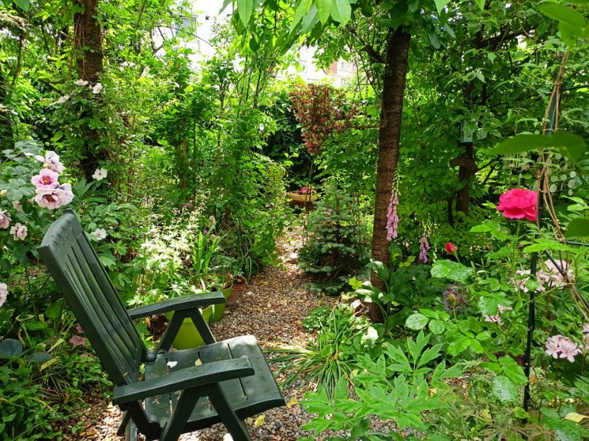  - Grădina 2023 continuare 2