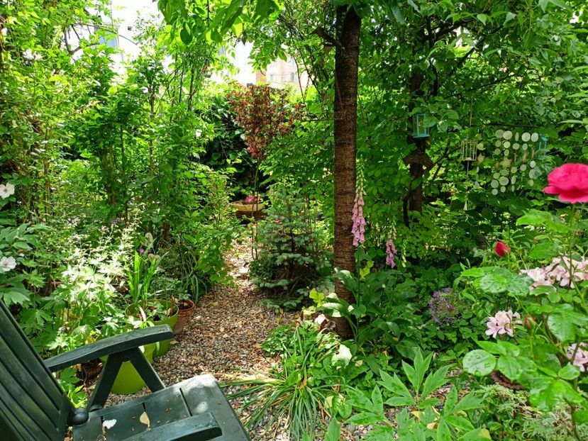  - Grădina 2023 continuare 2