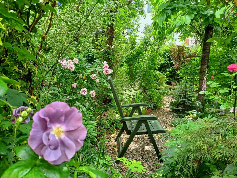  - Grădina 2023 continuare 2