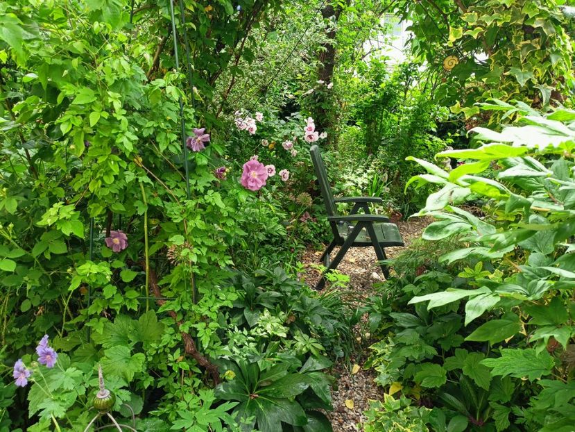  - Grădina 2023 continuare 2