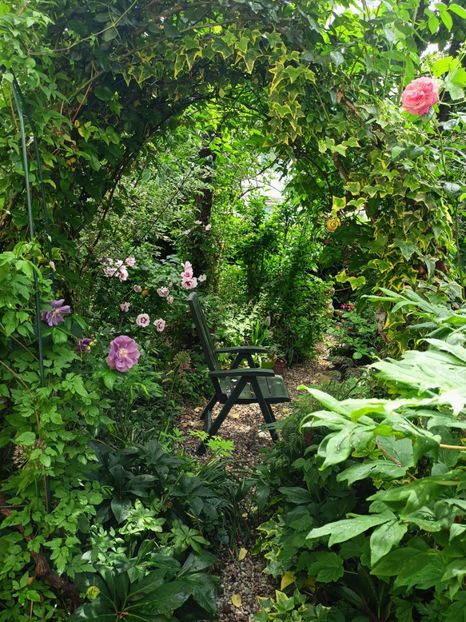  - Grădina 2023 continuare 2