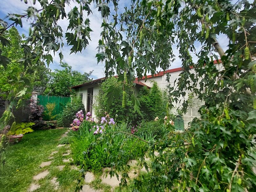  - 2023 mai continuare