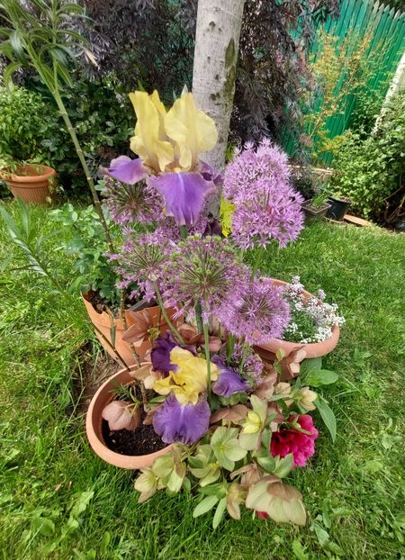  - 2023 mai continuare