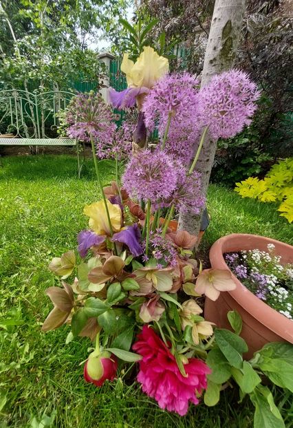  - 2023 mai continuare