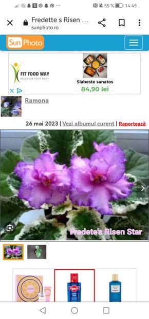 Screenshot_20230527_144542_com.android.chrome - Fredete-s Risen Star