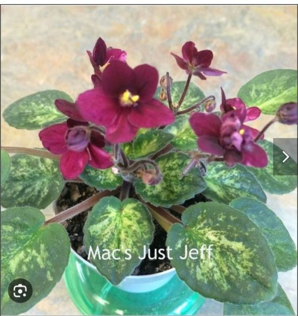 Screenshot_20230527_145315 - Mac-s Just Jeff