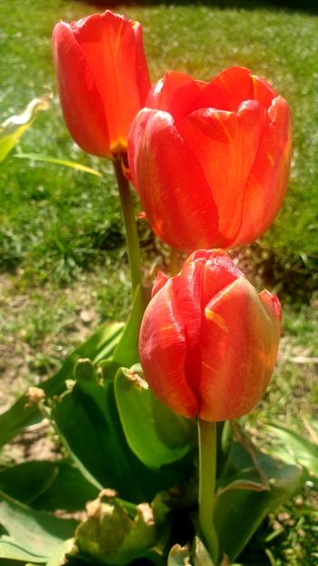  - Universul si Natura