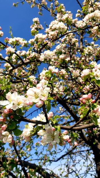  - Universul si Natura