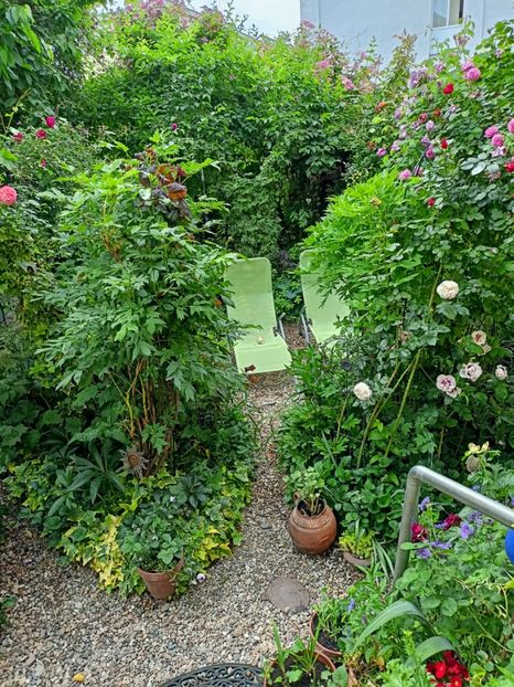  - Grădina 2023 continuare 2