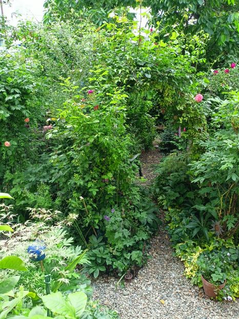  - Grădina 2023 continuare 2