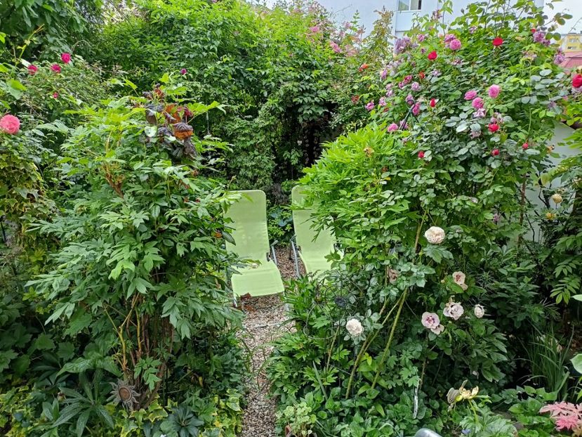  - Grădina 2023 continuare 2