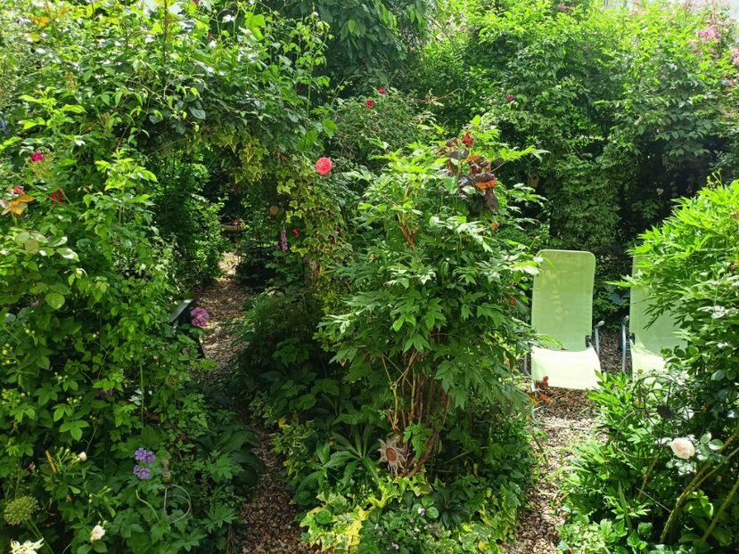  - Grădina 2023 continuare 2