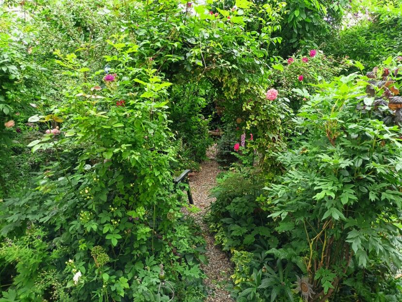  - Grădina 2023 continuare 2