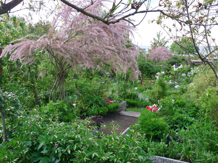  - 2023 - 01 - Primavara