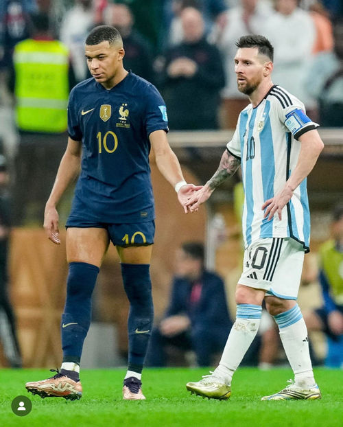  - Poze haioase pamflet