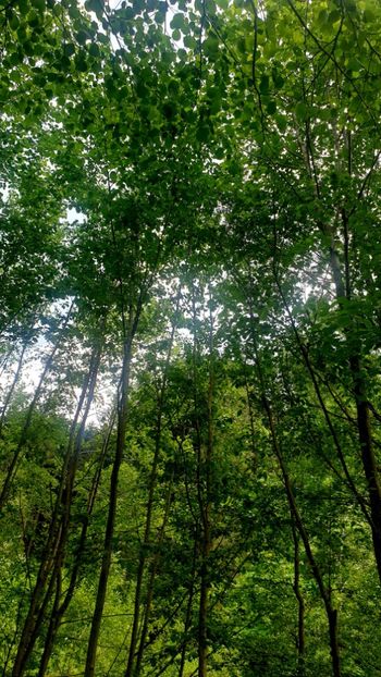  - Universul si Natura