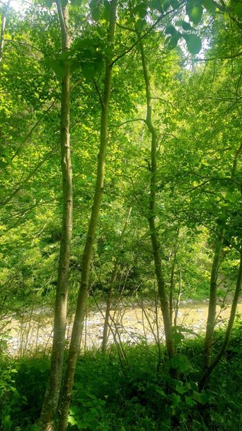  - Universul si Natura