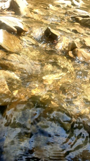  - Universul si Natura