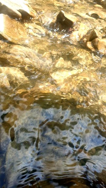  - Universul si Natura