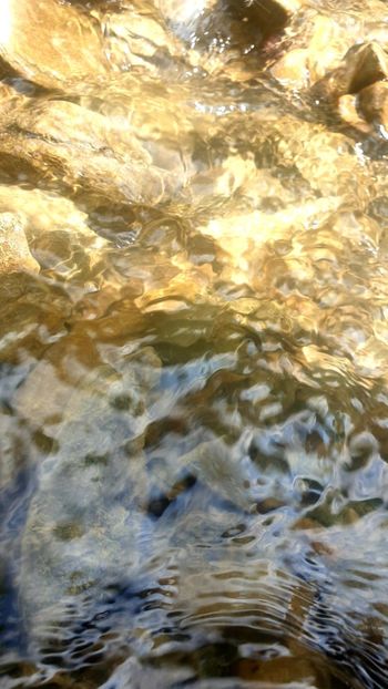  - Universul si Natura