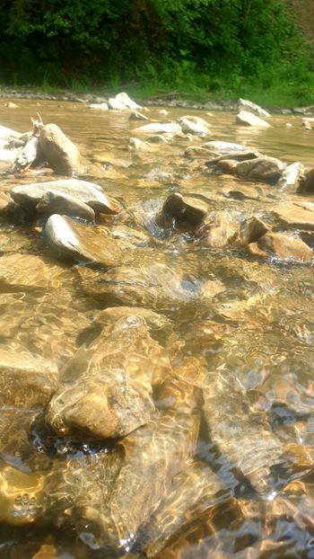  - Universul si Natura