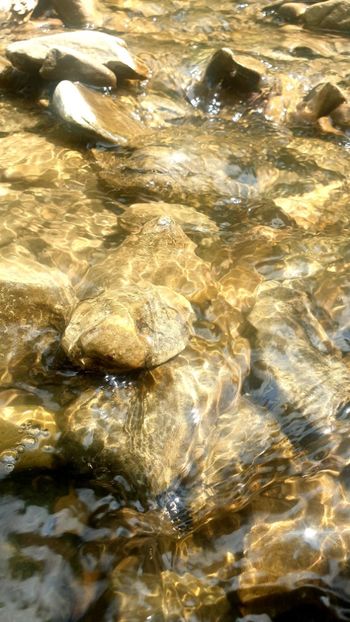  - Universul si Natura