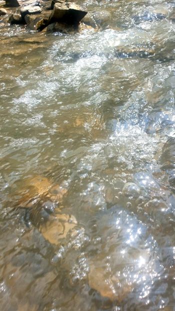  - Universul si Natura