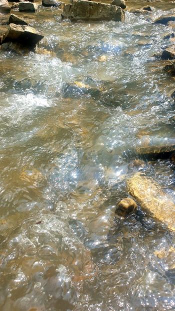  - Universul si Natura