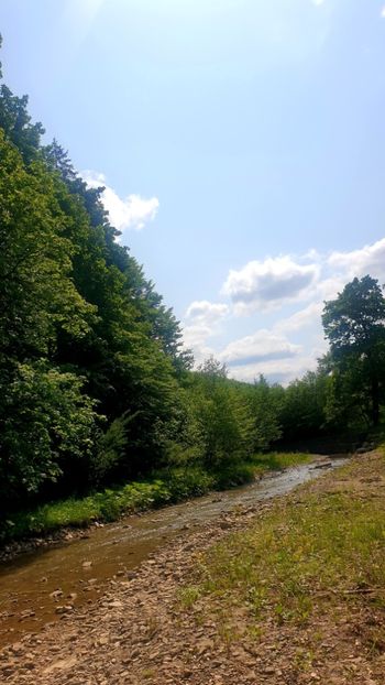  - Universul si Natura