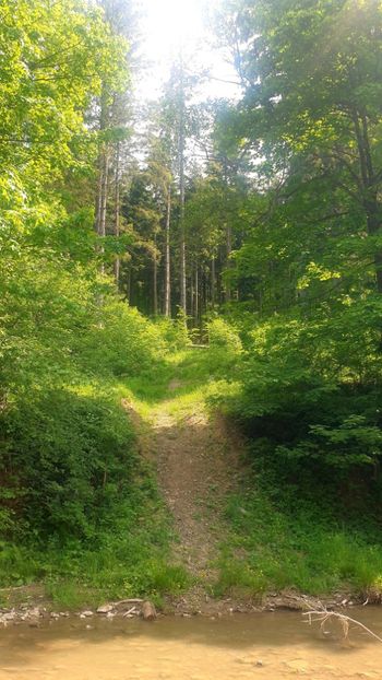  - Universul si Natura