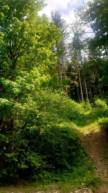  - Universul si Natura