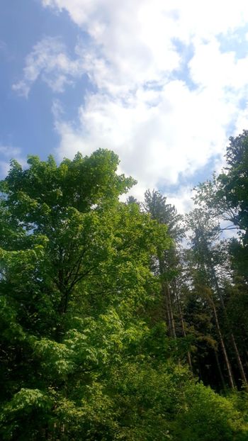  - Universul si Natura