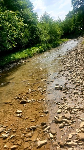  - Universul si Natura