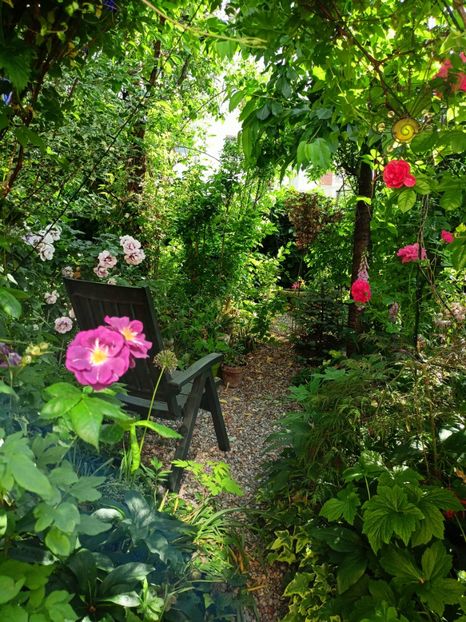  - Grădina 2023 continuare 3