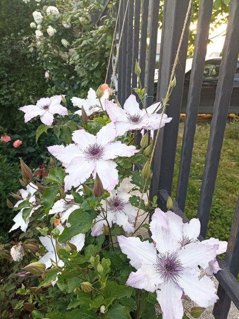 2023-29.05 - 28 Utopia