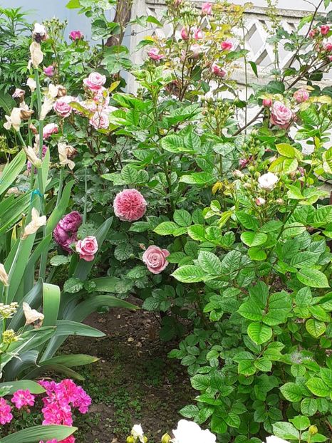 20230529_100207(0) - MAI 2023