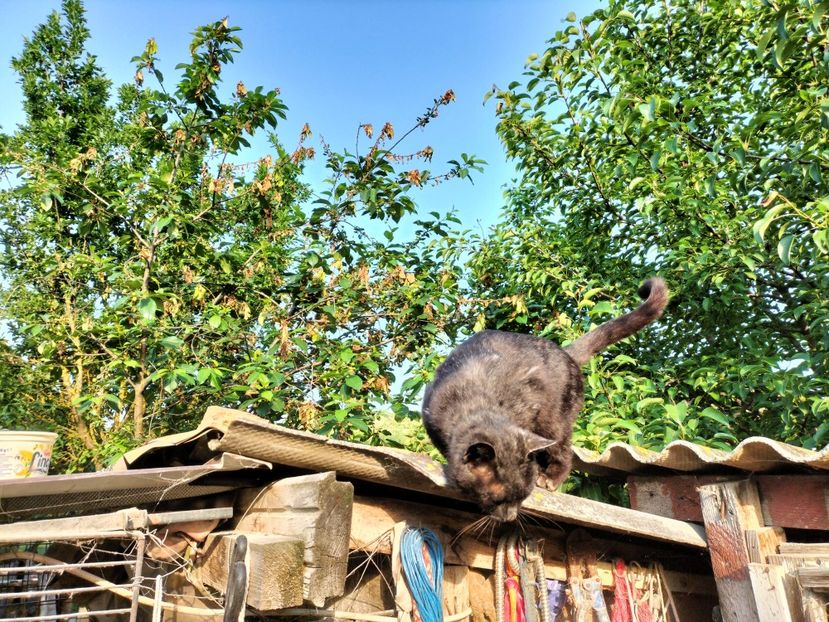 IMG20230530075743 - RIP Rufus