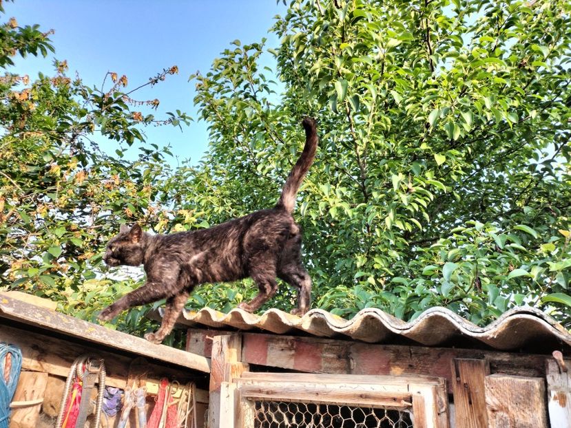 IMG20230530075734 - RIP Rufus