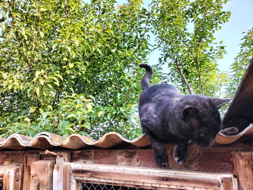 IMG20230530075728 - RIP Rufus