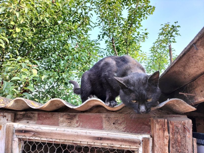 IMG20230530075716 - RIP Rufus