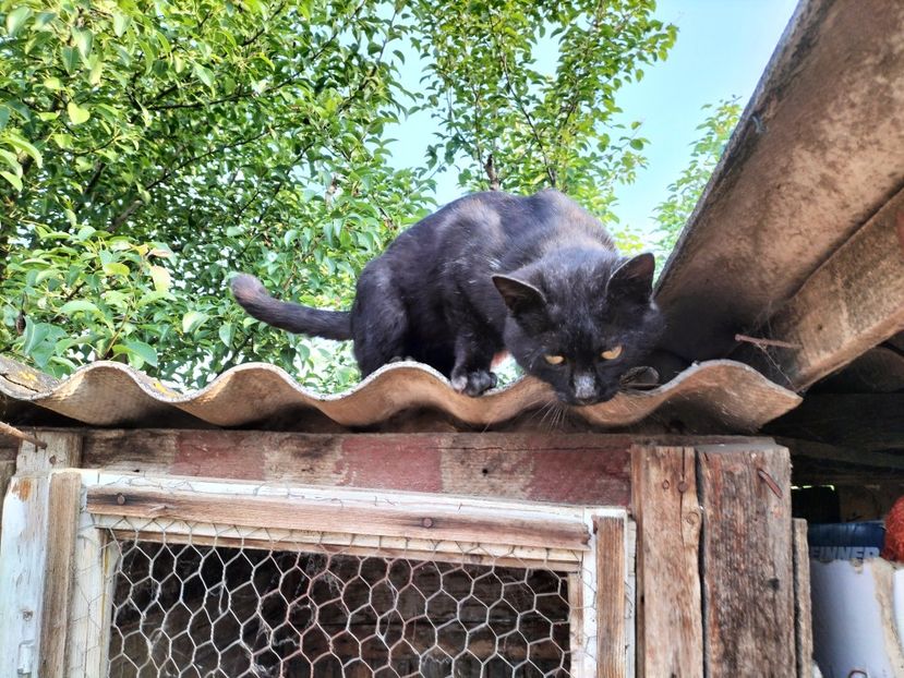 IMG20230530075714 - RIP Rufus